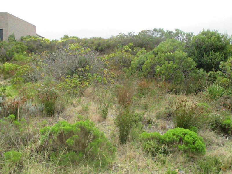 0 Bedroom Property for Sale in Dana Bay Western Cape